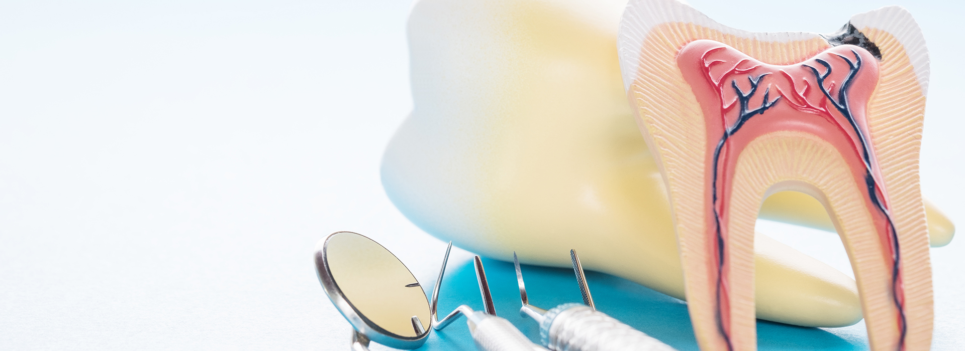 The image shows a close-up of dental tools, including a toothbrush and what appears to be a dental model with an exposed root system, set against a light blue background.